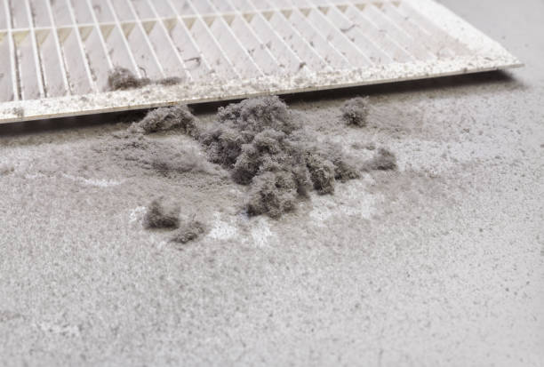 Best Affordable Duct Cleaning Services  in Aurora, MN